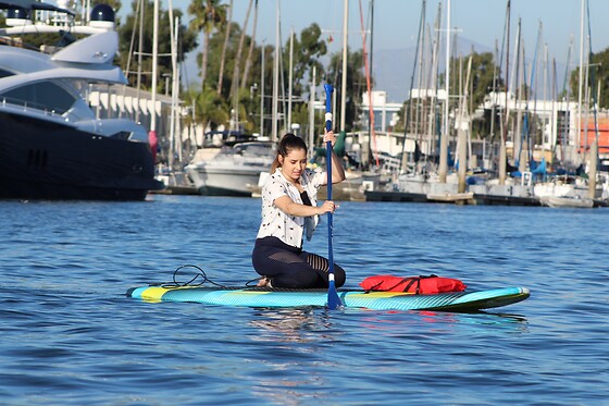 Stand up Paddle with Sea Lions at Fun Surf LA, Marina del Rey