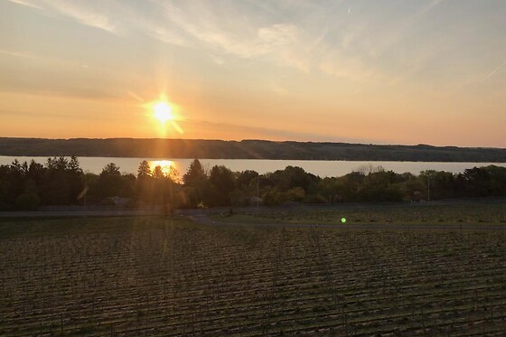 Helicopter Tour over the Cayuga Lake for 2