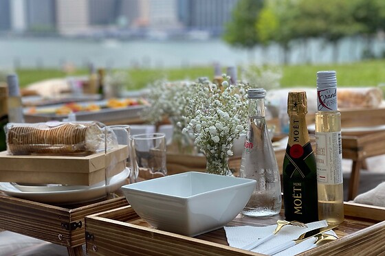 Amazing picnic in New York for up to 10 people