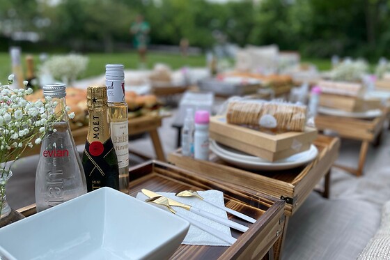 Luxurious gourmet Picnic in NYC for up to 6 people