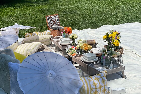 Luxurious gourmet Picnic in NYC for up to 6 people