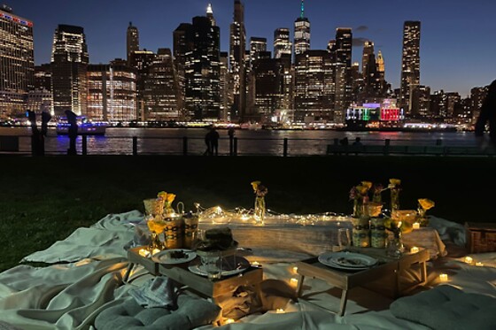 Luxurious gourmet picnic in NYC for up to 20 people
