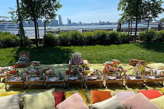 Luxurious gourmet picnic in NYC for up to 20 people