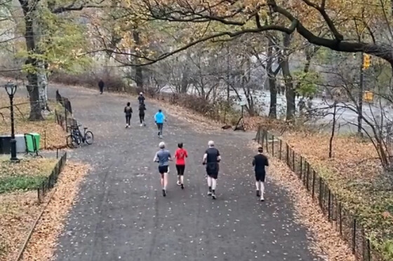 Central Park 5K Fun Run for 1 person