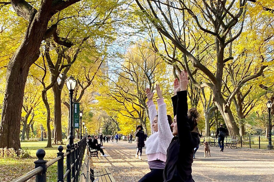 Sunrise Yoga Walk in Central Park for 5 people