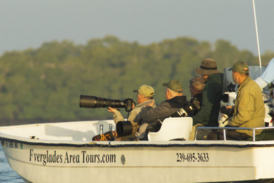 Everglades National Park Dolphin, Birding and Photography Expedition
