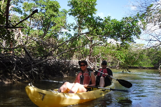 Everglades Mangrove Tunnel Kayak Eco Tour